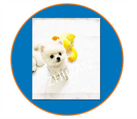 ความกว้าง 800 มม. แผ่นฝึกสัตว์เลี้ยง Pet Pad Machine 200 ม./นาที 350 ม./นาที